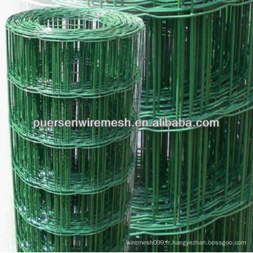 50 * 100 Holland Wire Mesh Fence